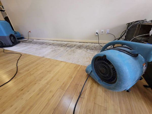 Water Damage Mitigation in Davenport