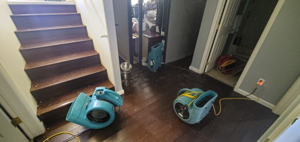 Water Damage Remediation in Davenport