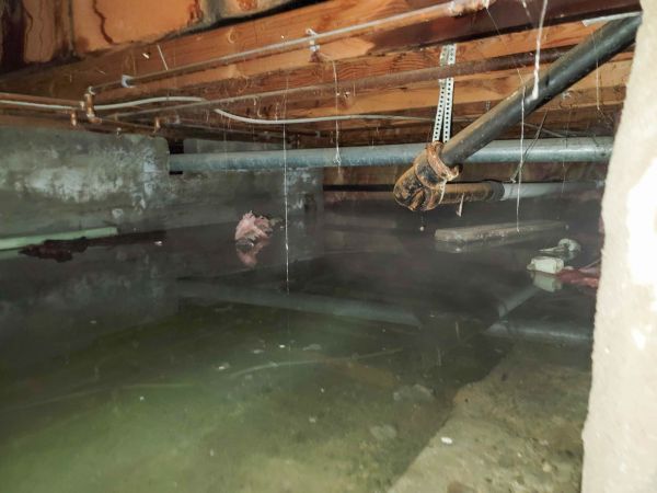 Water Mitigation Service in Davenport