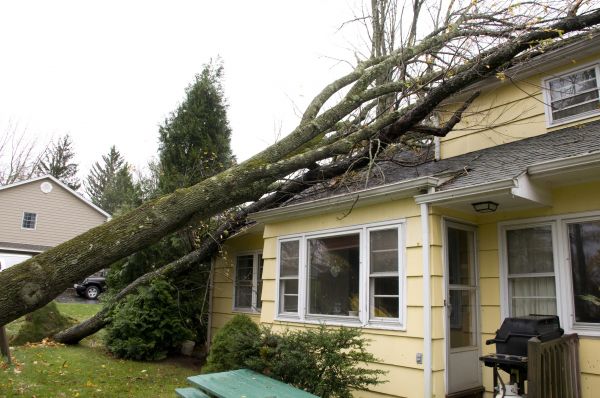 Cost of Storm Damage Mitigation in Davenport